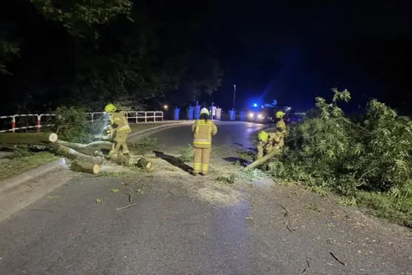 Powalone drzewo w Gębicach – interwencja OSP Pępowo