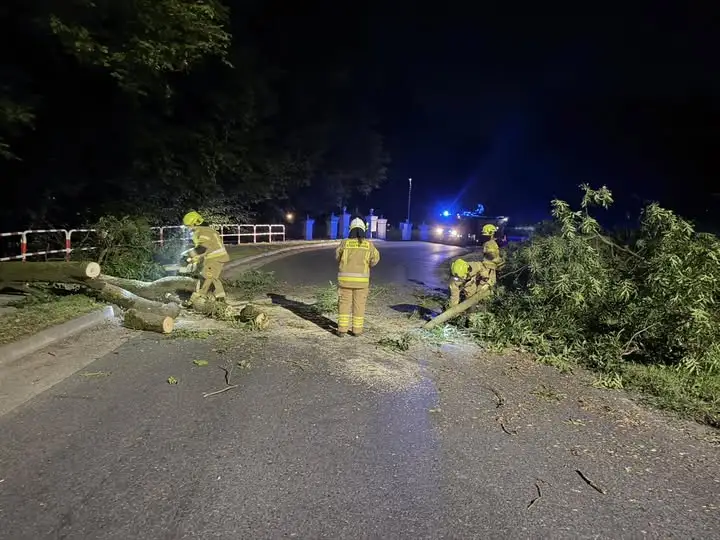 Powalone drzewo w Gębicach – interwencja OSP Pępowo