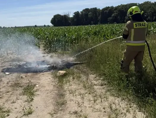 Pożar w Krzyżankach – interwencja OSP Pępowo i PSP Gostyń
