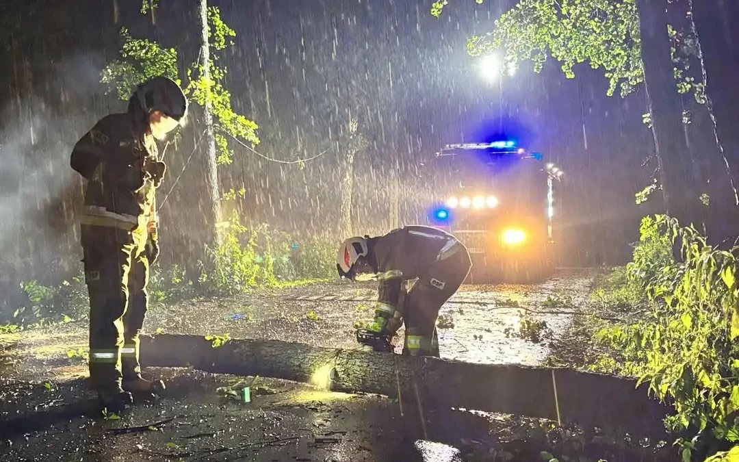 Silny wiatr w Gostyni: powalone drzewa i zerwane przewody