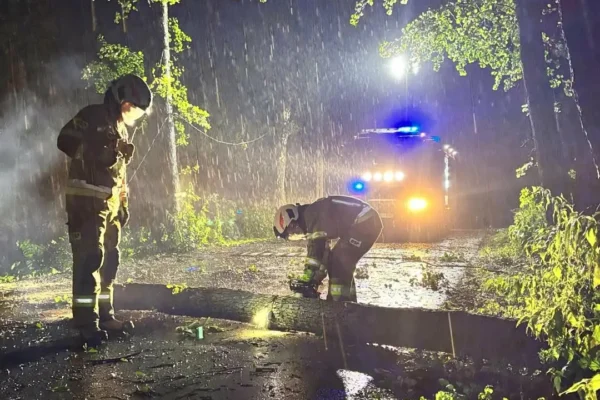 Silny wiatr w Gostyni: powalone drzewa i zerwane przewody