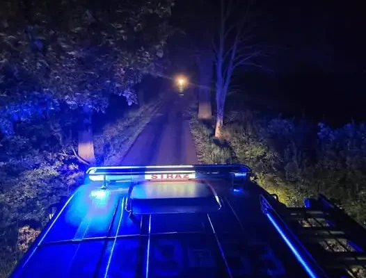 Strażacy z Krobii usuwali plamę ropopochodną na zjeździe z DW434