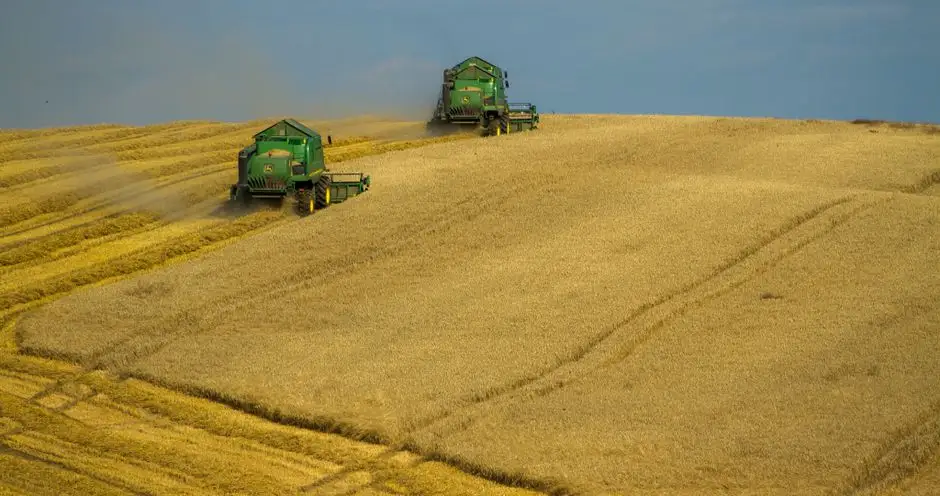 Święto Plonów na Świętej Górze – Dożynki Powiatowe z atrakcjami