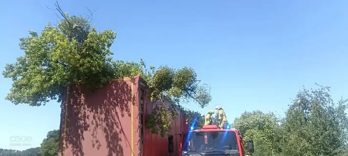 OSP Pępowo usuwa powalony konar na ul. Parkowej
