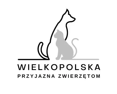 Gmina Poniec walczy z bezdomnością kotów – program sterylizacji i kastracji