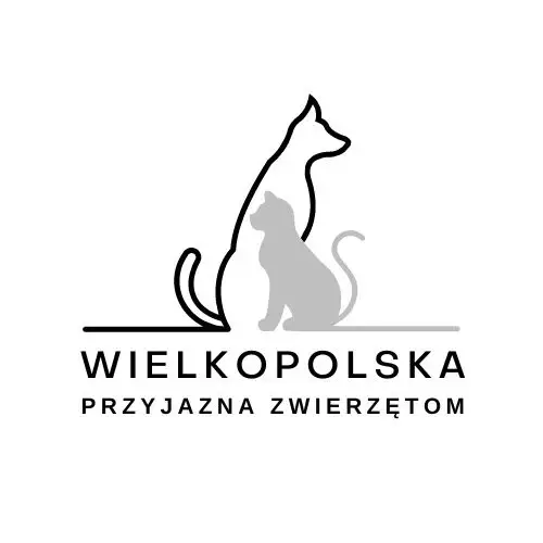 Gmina Poniec walczy z bezdomnością kotów – program sterylizacji i kastracji