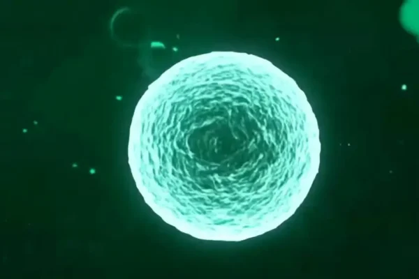 Mercury Science Festival w Gostyniu – naukowa przygoda w Hutniku