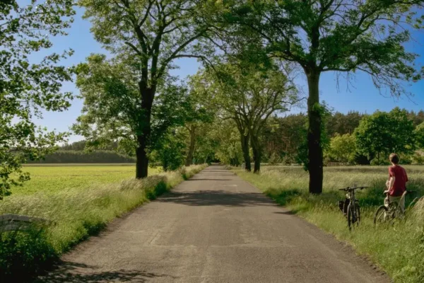 Gostyń: rozbudowa dróg rowerowych i gminnych opóźniona. Nowy termin do końca listopada