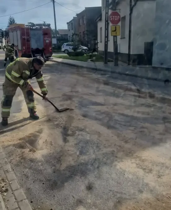 Plama ropopochodna w Potarzycy. Interweniowali strażacy z OSP Krobia