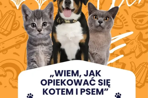 Konkurs plastyczny „Wiem, jak opiekować się kotem i psem” w Gostyniu – prace do 7 października