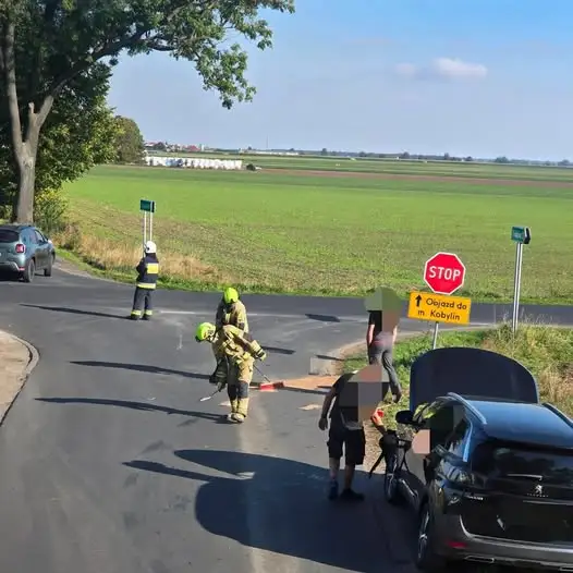 Plama oleju w Krzekotowicach — interwencja OSP Pępowo i policji