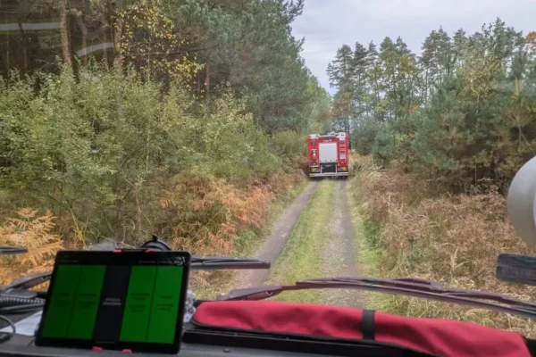 Dwie interwencje strażaków z Gostyni: zwisający konar i pożar ściółki leśnej